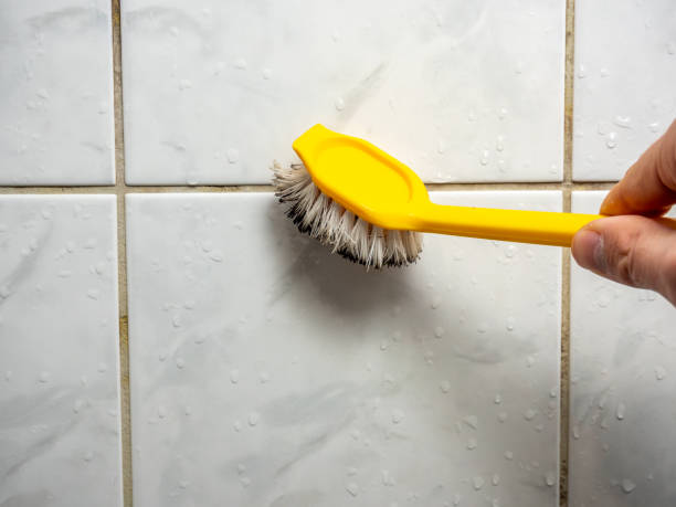 Best Professional Mold Removal  in St James, MD