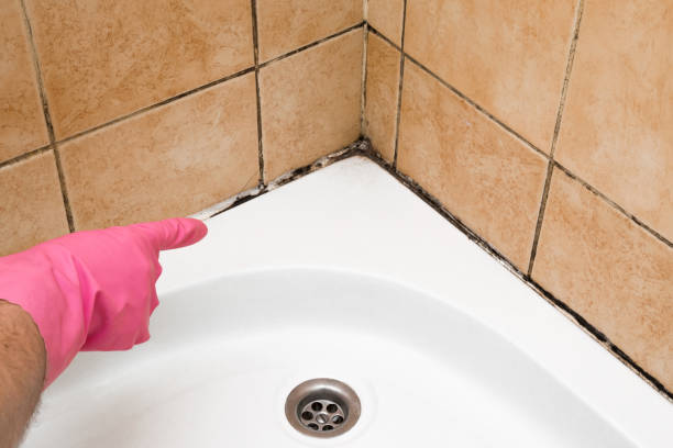 Best Affordable Mold Removal  in St James, MD